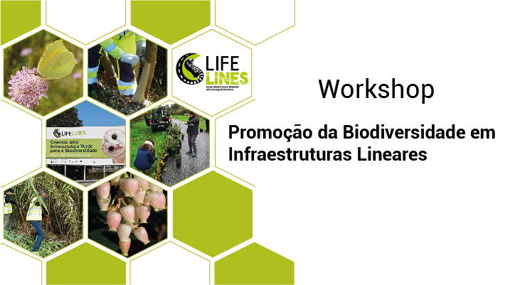 Workshop "Promoção da Biodiversidade em Infraestruturas Lineares"