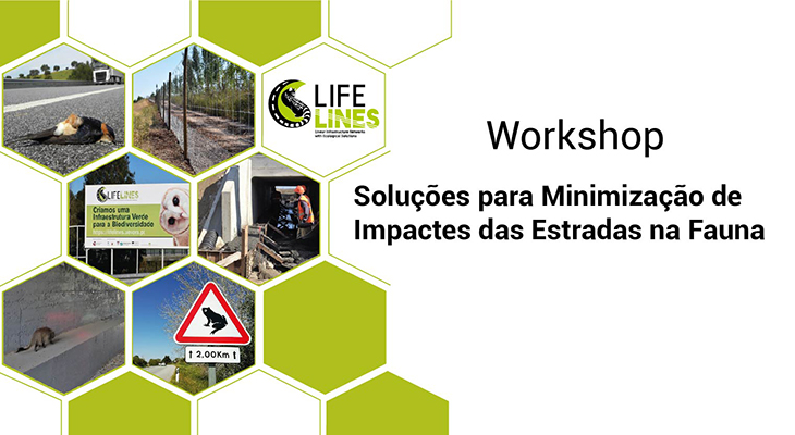 Workshop "Soluções para Minimização de Impactes das Estradas na Fauna"