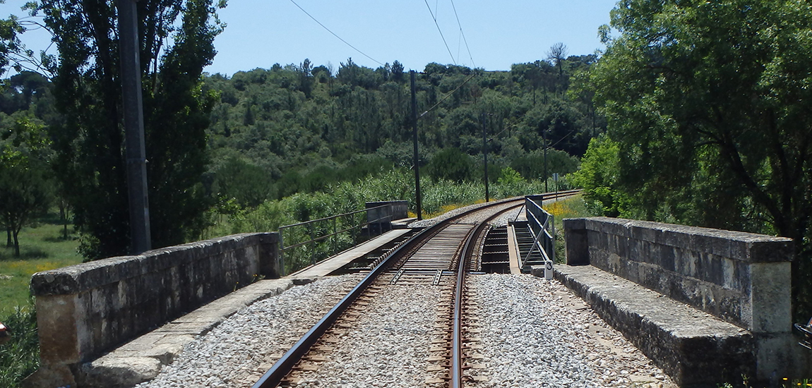 Ponte da Bizelga, Ramal de Tomar