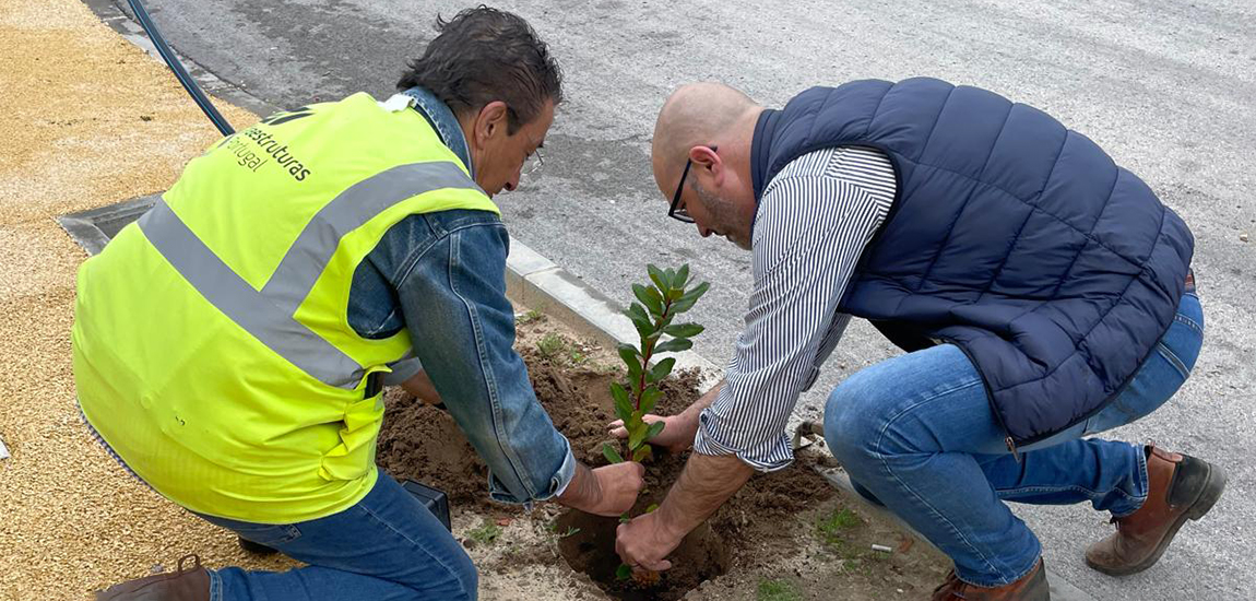 Imagem - Dia Mundial da Terra