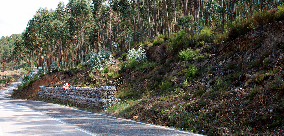 Imagem 4 - taludes na EN238