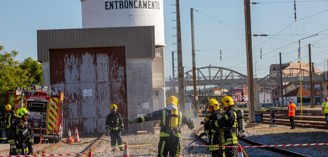 exercício CELULEX’25