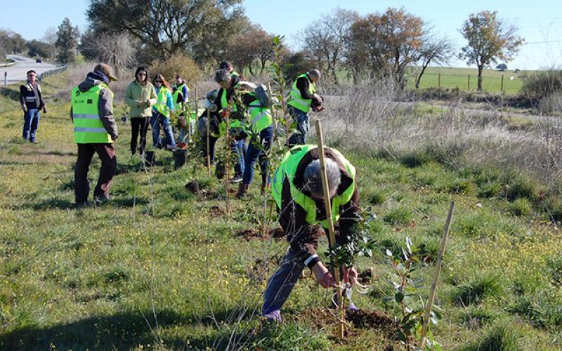 Voluntariado ambiental