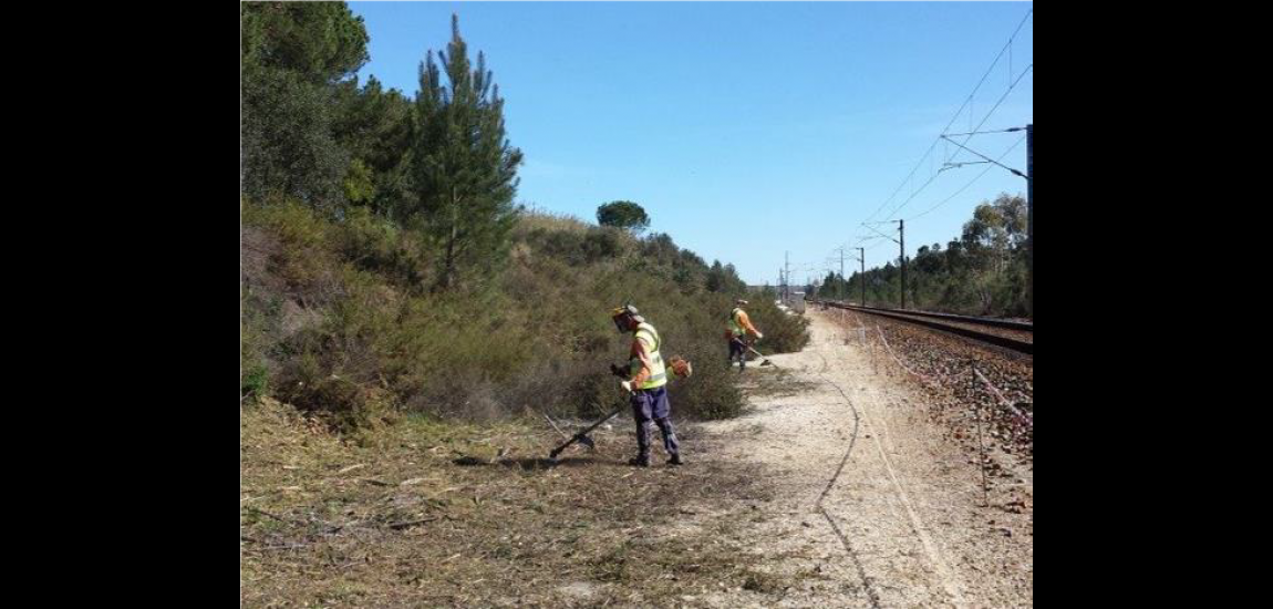 Defesa da Floresta contra incêndios