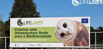 Outdoor do Projeto na EN4